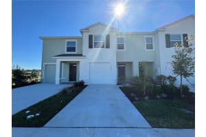 17254 Ashe Juniper Ln, LAND O LAKES