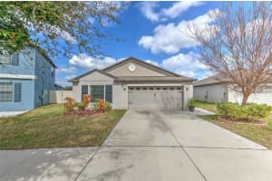 12619 Lemon Pepper Dr, RIVERVIEW