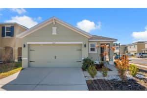3503 Diamond Leaf Ct, VALRICO