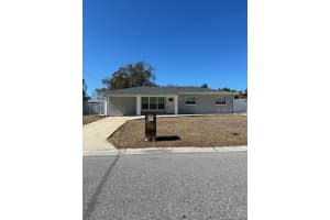 10418 N Otis Ave, TAMPA