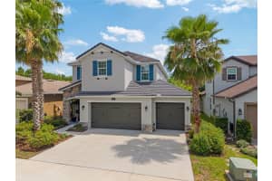 3532 Wicket Field Rd, LUTZ