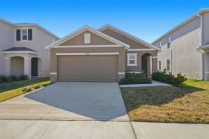 33358 Regent Canal St, WESLEY CHAPEL 33358 Regent Canal St, WESLEY CHAPEL