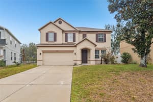 11006 Running Pine Dr, RIVERVIEW