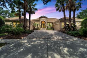 15101 Kestrelglen Way, LITHIA