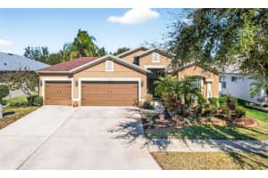 11013 Rockledge View Dr, RIVERVIEW