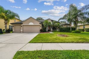 26848 Shoregrass Dr, WESLEY CHAPEL
