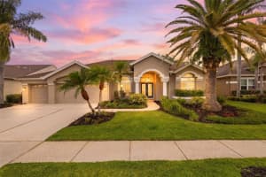 11909 Middlebury Dr, TAMPA