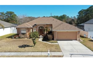 6942 Orvicti Ct, WESLEY CHAPEL