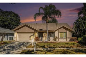 3529 Oak Lake Dr, PALM HARBOR