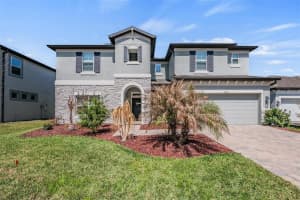 33115 Sycamore Leaf Dr, WESLEY CHAPEL