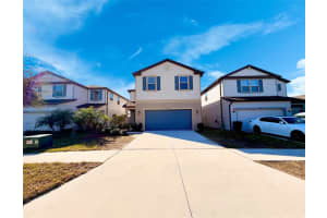 11415 Green Harvest Dr, RIVERVIEW