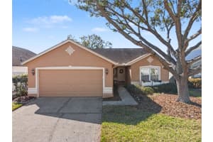 1113 Vinetree Dr, BRANDON