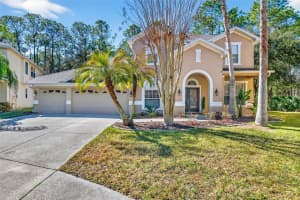 6604 Portland Oak Ct, TAMPA
