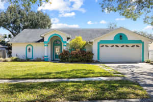 15315 Carrollton Ln, TAMPA 15315 Carrollton Ln, TAMPA