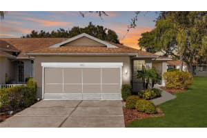 1015 Radison Lake Ct #65, SUN CITY CENTER