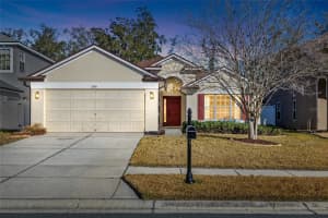 23851 Hastings Way, LAND O LAKES