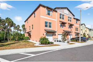 4620 Willet Cooper Ct, TAMPA