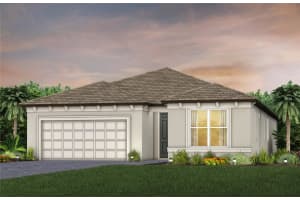 11359 Meadow River Way, PARRISH