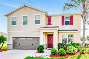 5446 Suncatcher Dr, WESLEY CHAPEL