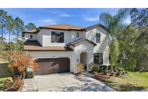 32306 Garden Alcove Loop, WESLEY CHAPEL