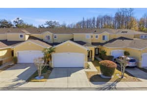 11005 Blaine Top Pl, TAMPA