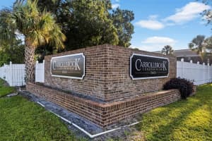 10423 Carrollbrook Cir #203, TAMPA