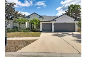 12628 Stanwyck Cir, TAMPA