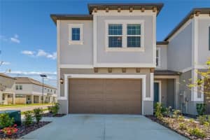 10811 Fowlers Bluff Ct, TAMPA