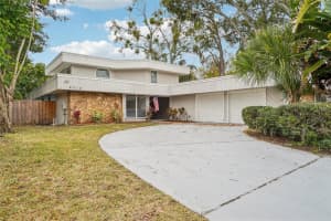 4218 Water Oaks Ln, TAMPA