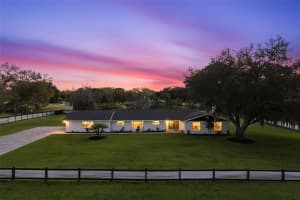 2338 Meadowbrook Dr, LUTZ 2338 Meadowbrook Dr, LUTZ