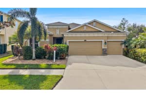 10405 Hampton Meadow Way, RIVERVIEW