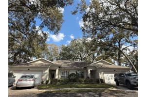 8633 Alexandra Arbor Ln, TEMPLE TERRACE