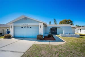 4745 Swallowtail Dr, NEW PORT RICHEY