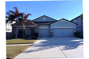 11439 Carlton Fields Dr, RIVERVIEW