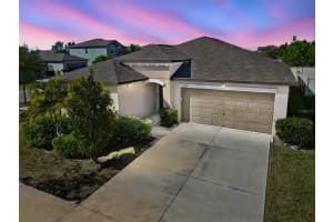 15709 Demory Point Pl, SUN CITY CENTER