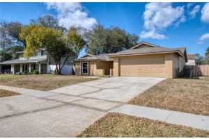 4017 Braesgate Ln, TAMPA