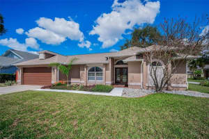 3097 Robinwood Ln, PALM HARBOR