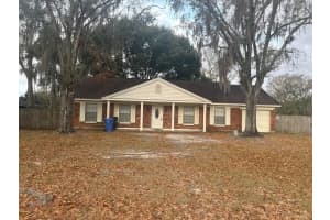 19910 Longleaf Dr, LUTZ