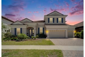 14239 Swiss Bridge Dr, RIVERVIEW