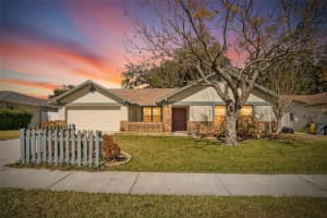 1741 Shady Leaf Dr, VALRICO