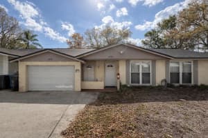 6702 Village Grove Ct, TAMPA