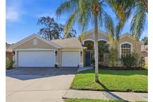 328 Liam Ave, TARPON SPRINGS 328 Liam Ave, TARPON SPRINGS