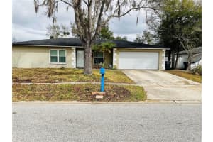 4403 Willowrun Ln, TAMPA