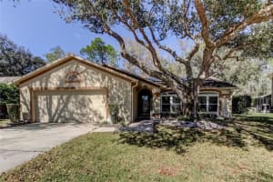 1795 Bayhill Dr, OLDSMAR