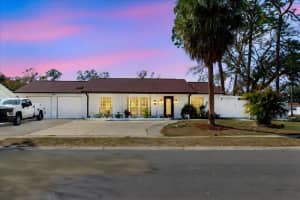 7008 Mintwood Ct, TAMPA