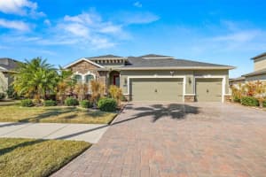 11518 Lake Lucaya Drive, RIVERVIEW