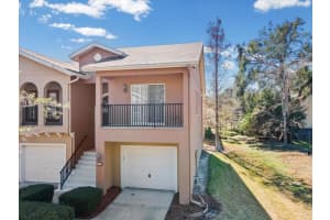 321 Summer Clouds Pl, BRANDON