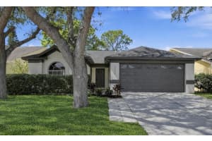 1723 Elk Spring Dr, BRANDON