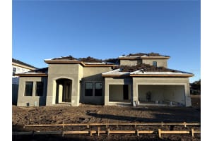 1136 Buck Creek Ct, BRANDON