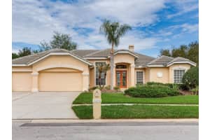 10228 Estuary Dr, TAMPA 10228 Estuary Dr, TAMPA